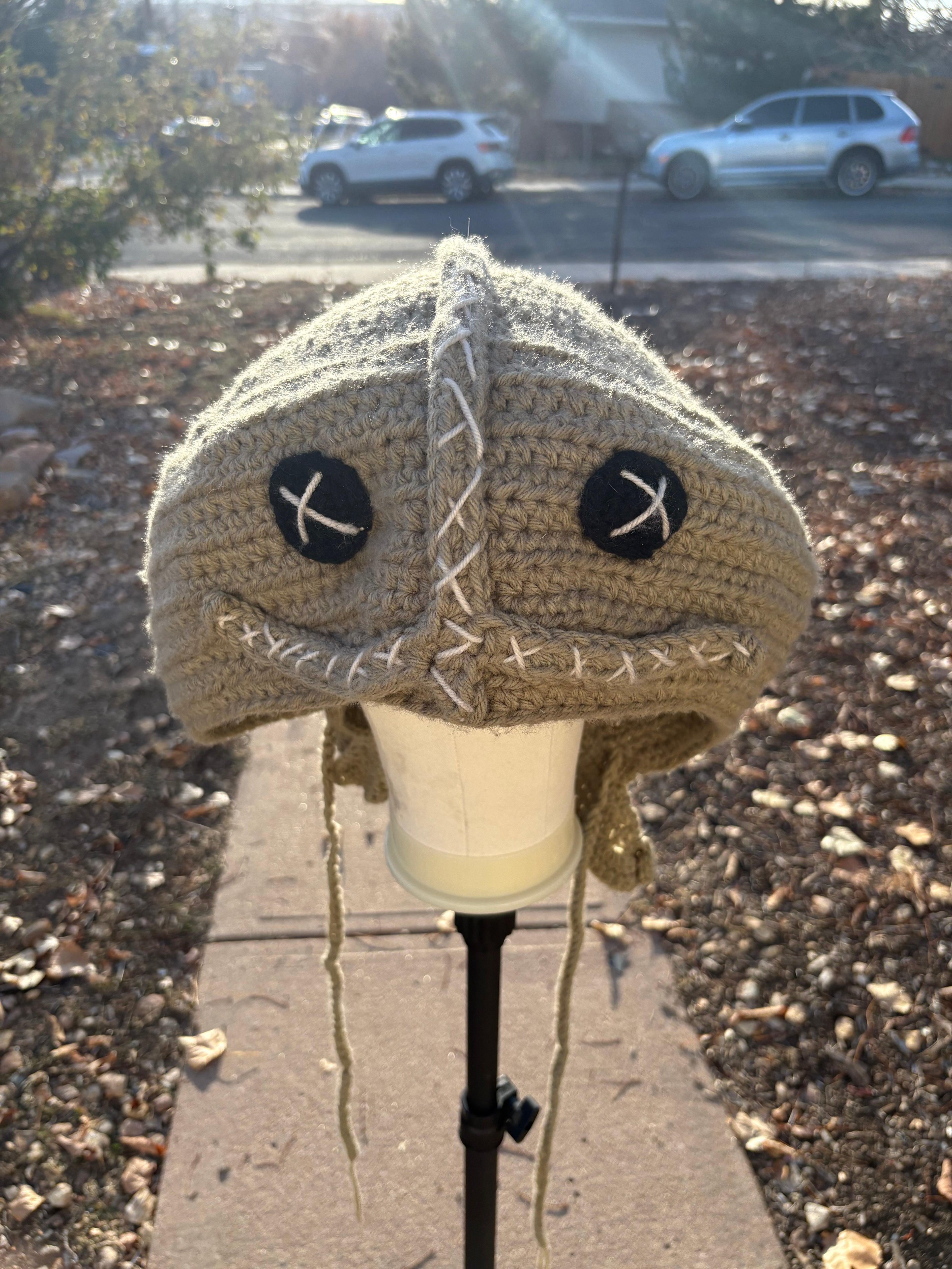 Trick or treat hat