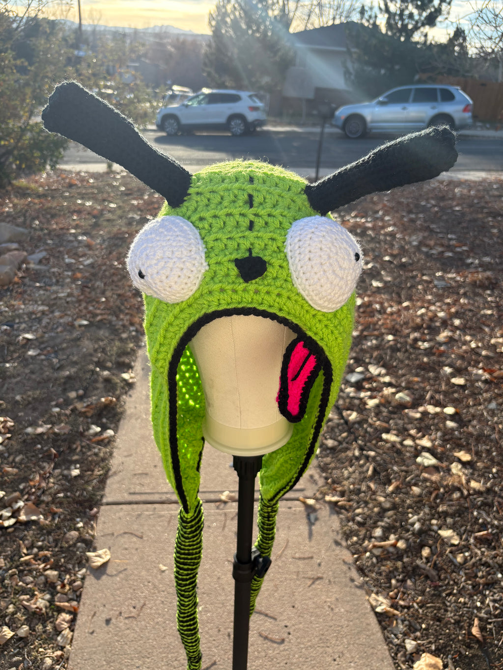 Silly dog hat