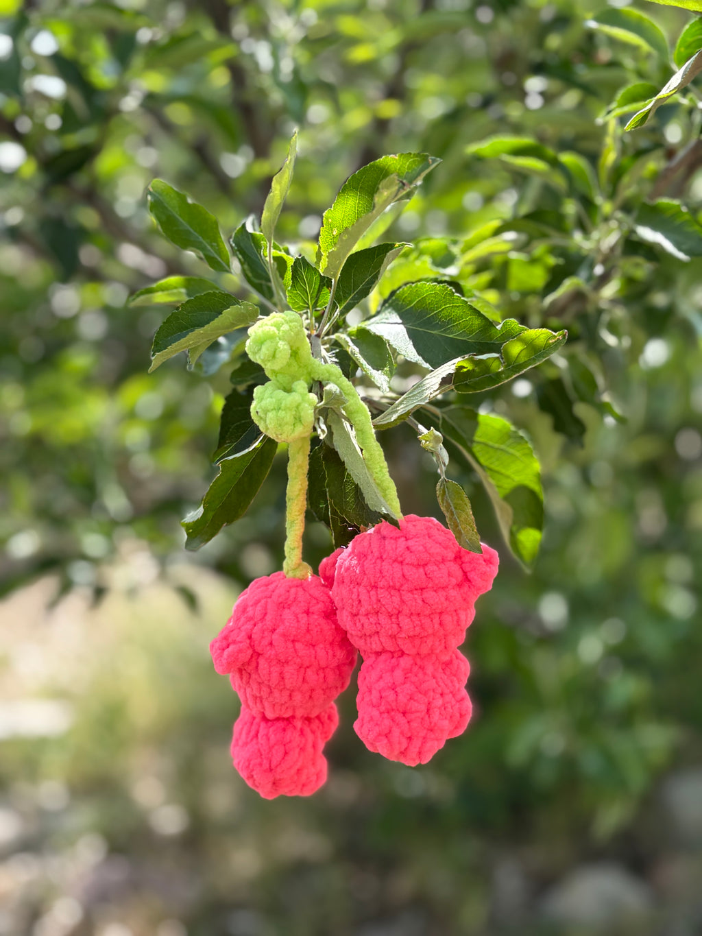Cherry bears
