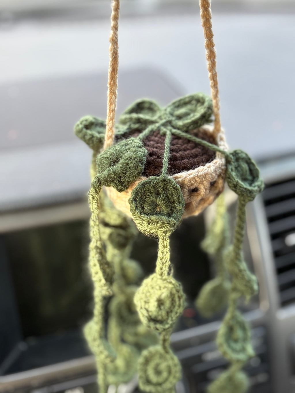 Hanging plant