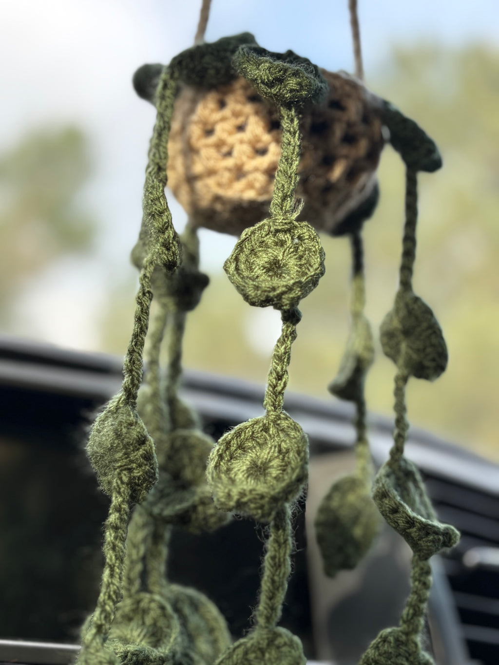 Hanging plant