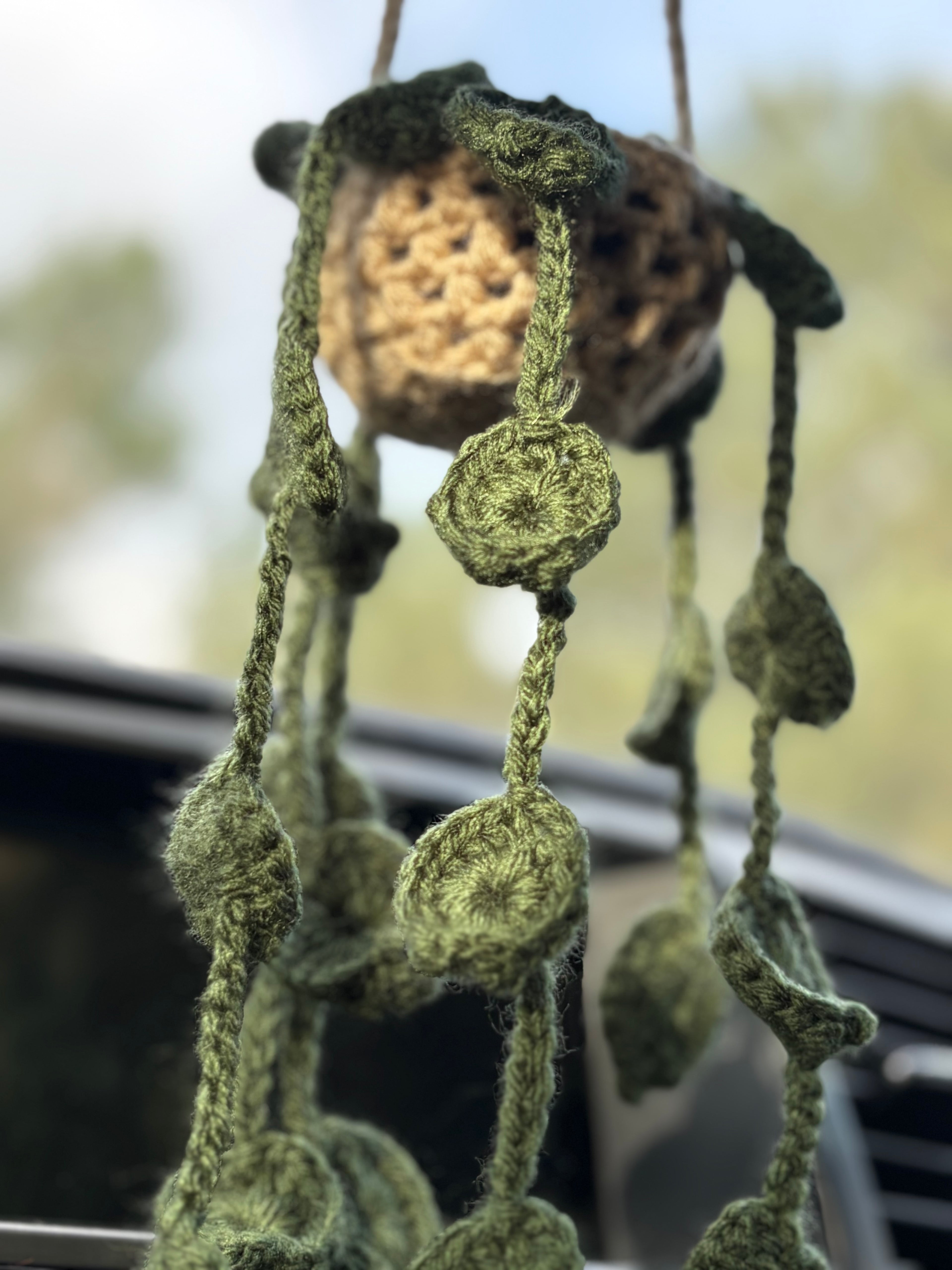 Hanging plant
