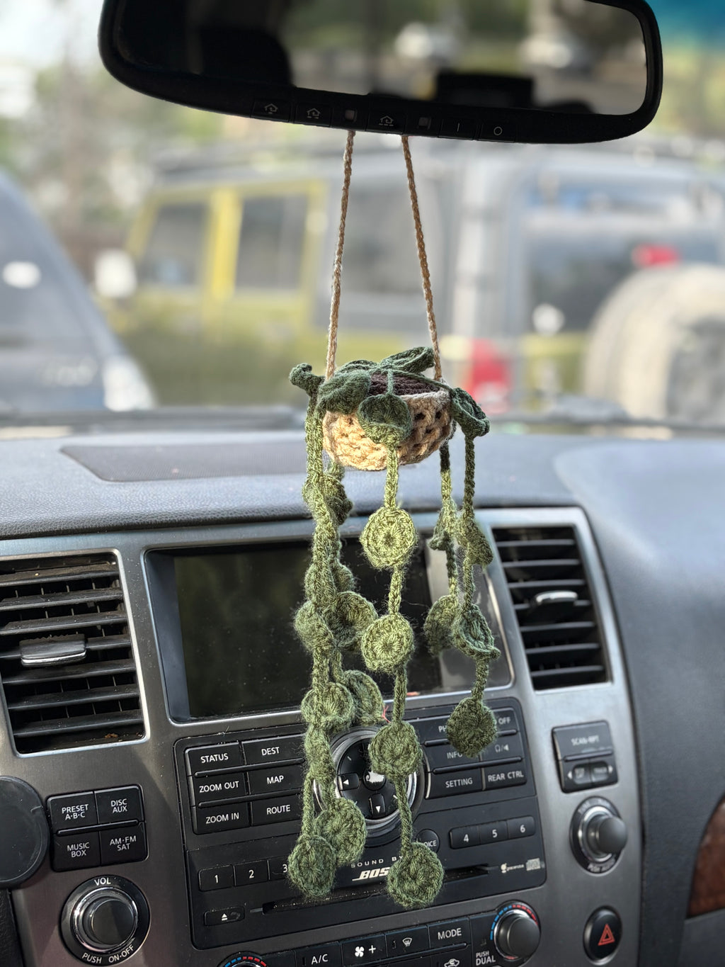 Hanging plant