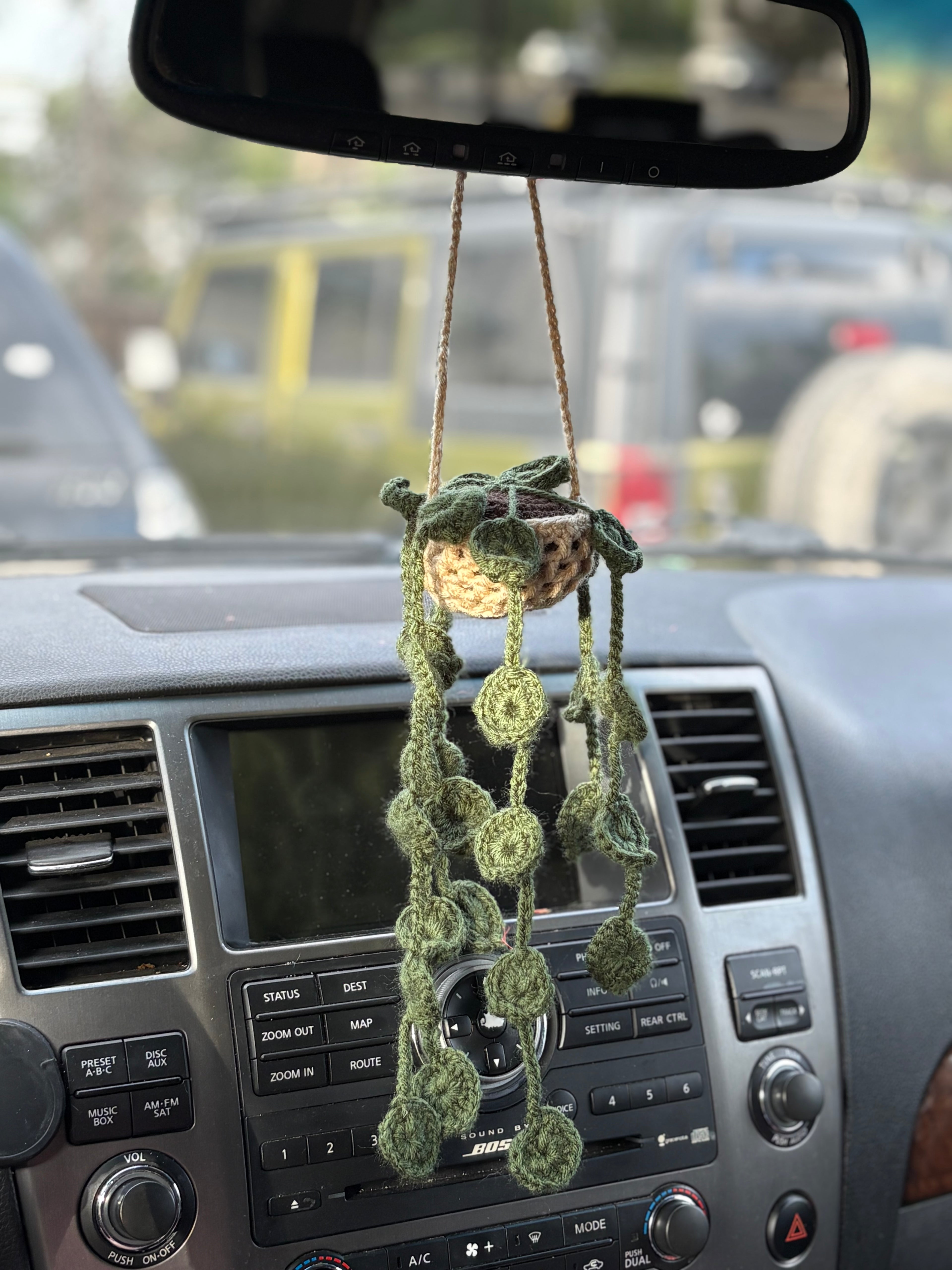 Hanging plant