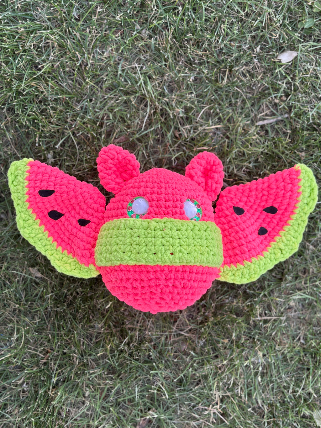 Fruit bat
